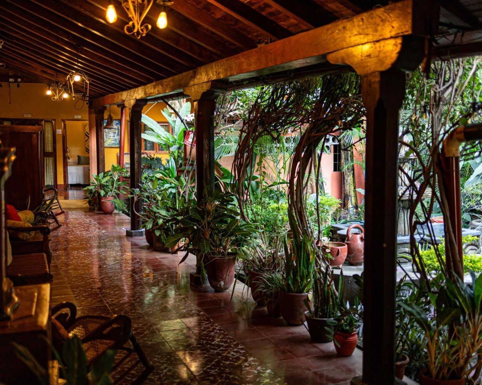 Hostal Fuente Castalia, B Y B León Eksteriør billede